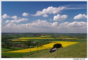 Ivinghoe-10