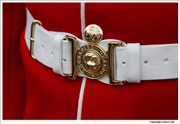 Guards-buckle