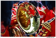 Tuba-reflection-3