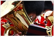 Tuba-reflection-4